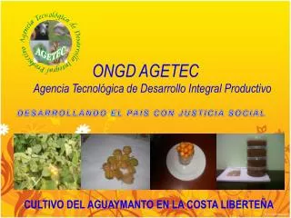 ongd agetec