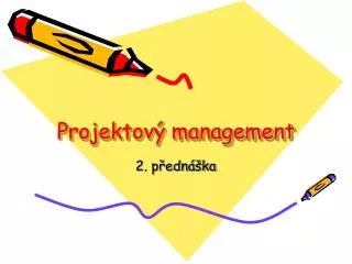 projektov management