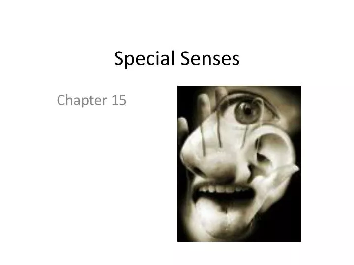 PPT - Special Senses PowerPoint Presentation, Free Download - ID:6339678