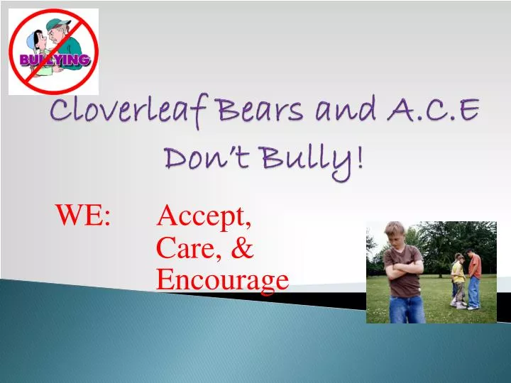 cloverleaf bears and a c e don t bully