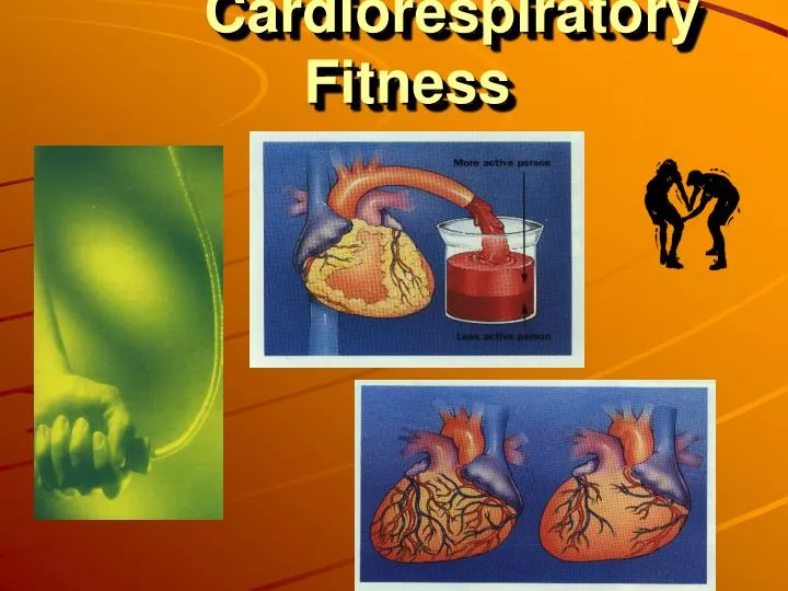 cardiorespiratory fitness