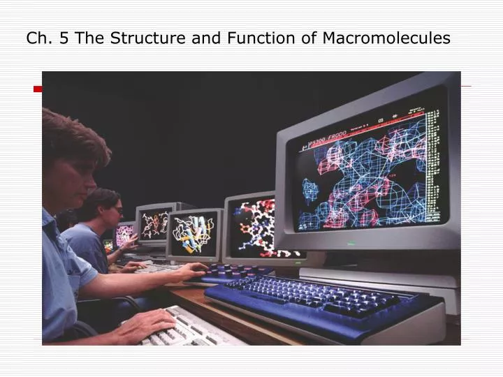 ch 5 the structure and function of macromolecules