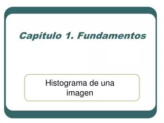 capitulo 1 fundamentos