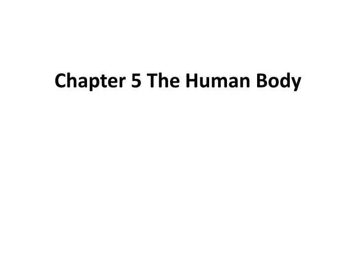 chapter 5 the human body