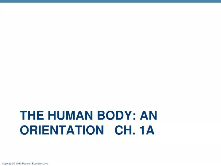 the human body an orientation ch 1a