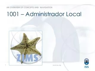 1001 administrador local