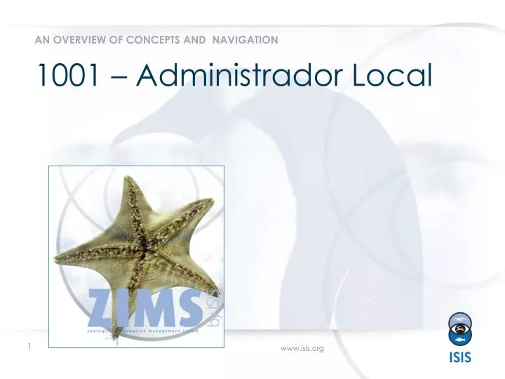1001 administrador local