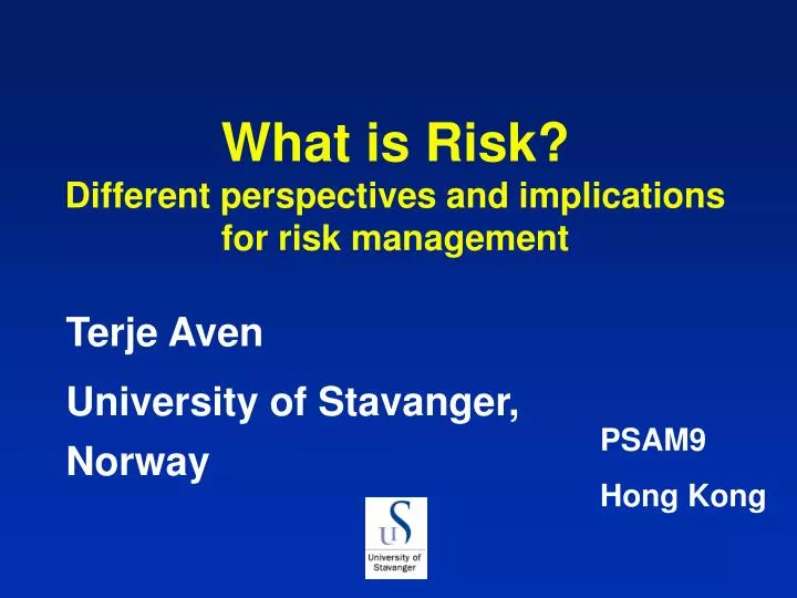 what is risk different perspectives and implications for risk management
