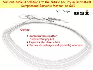 Nucleus-nucleus collisions at the future facility in Darmstadt -