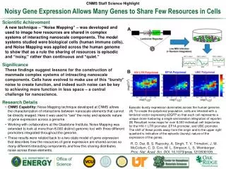 Noisy Gene Expression Allows Many Genes to Share Few Resources in Cells