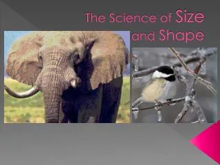 The Science of Size and Shape