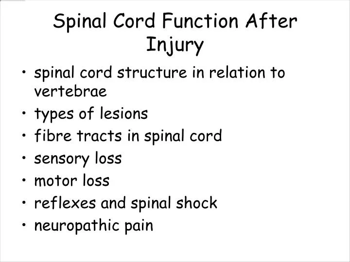 spinal cord function after injury