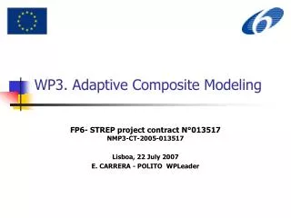 WP3. Adaptive Composite Modeling