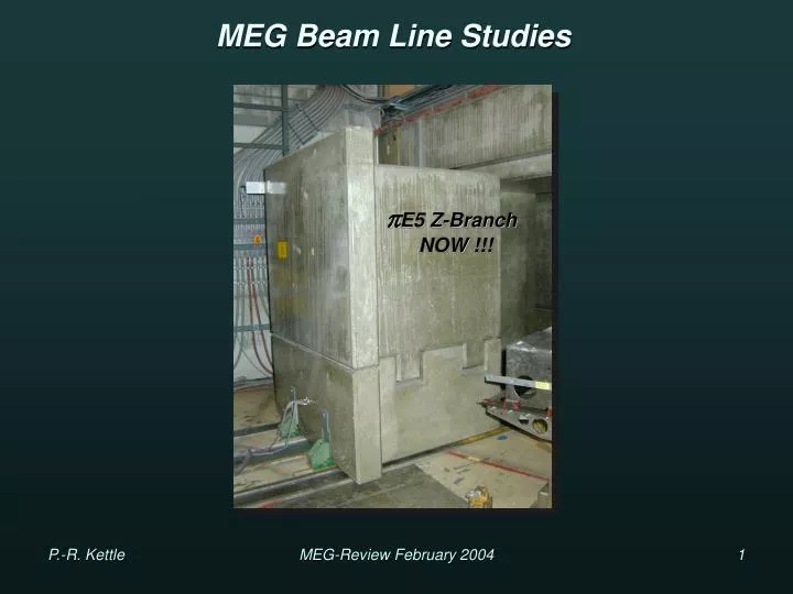 meg beam line studies