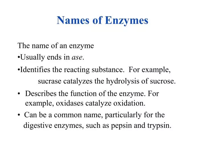 names of enzymes