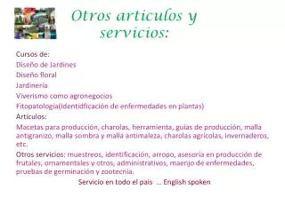 otros articulos y servicios