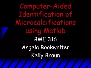 Computer-Aided Identification of Microcalcifications using Matlab