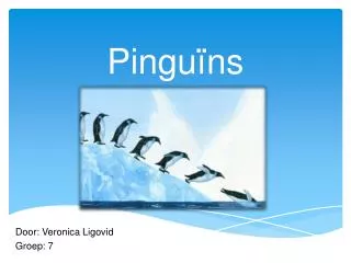 pingu ns