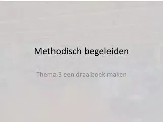methodisch begeleiden