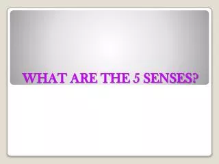 WHAT ARE THE 5 SENSES?