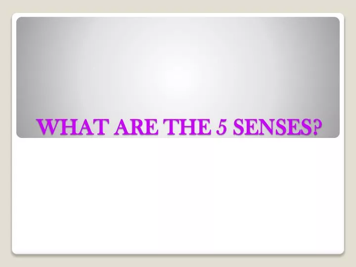 what are the 5 senses