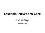 PPT - Essential Newborn Care PowerPoint Presentation, Free Download ...