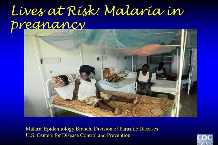 lives at risk malaria in pregnancy