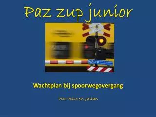 paz zup junior