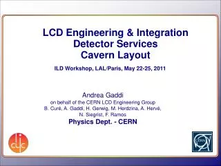 LCD Engineering &amp; Integration Detector Services Cavern Layout