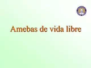 amebas de vida libre