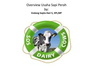 overview usaha sapi perah by endang sapta hari s spt mp