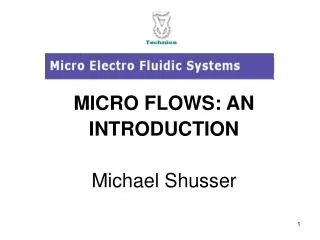 MICRO FLOWS: AN INTRODUCTION Michael Shusser