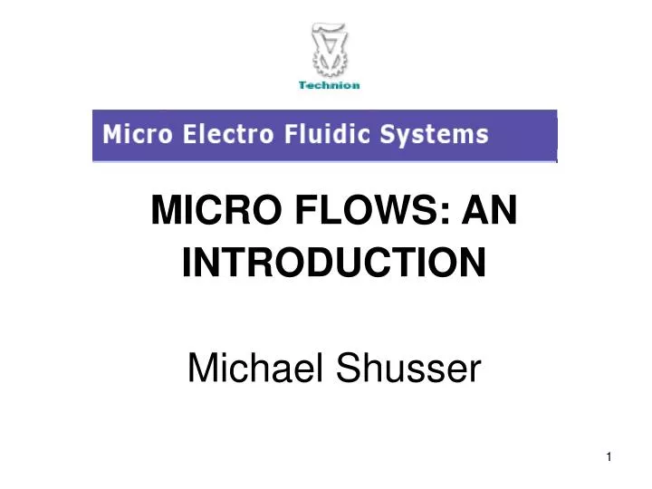 micro flows an introduction michael shusser