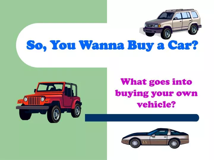 so you wanna buy a car