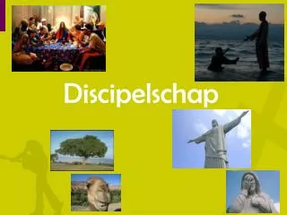 discipelschap