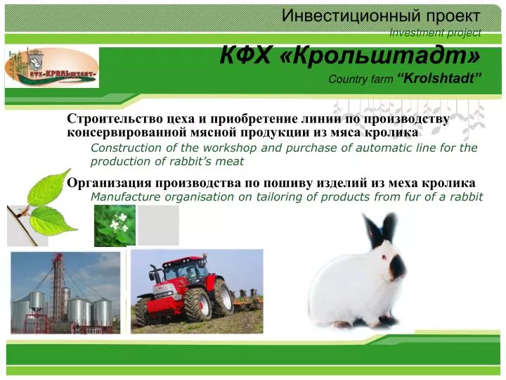 investment project country farm krolshtadt