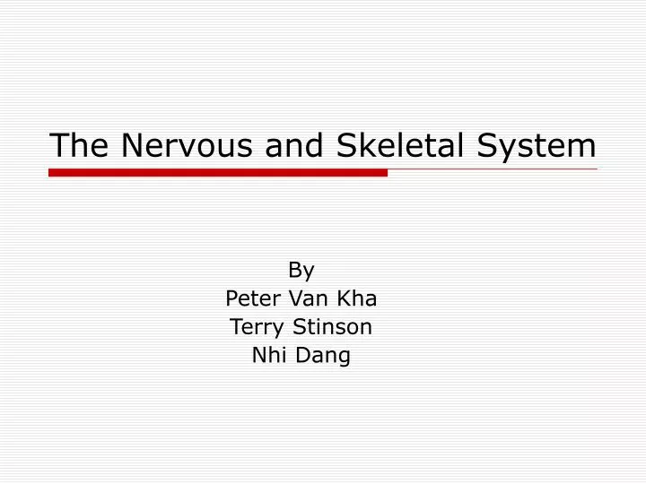 the nervous and skeletal system