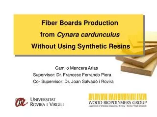 Fiber Boards Production from Cynara cardunculus Without Using Synthetic Resins