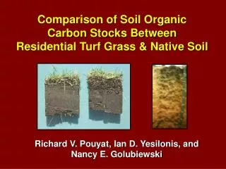 Comparison of Soil Organic Carbon Stocks Between Residential Turf Grass &amp; Native Soil