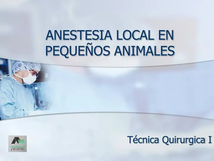 anestesia local en peque os animales