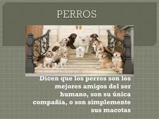 perros