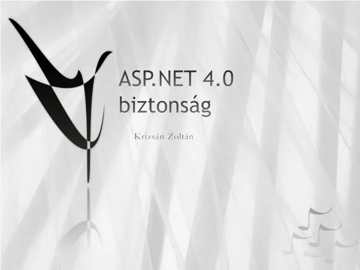 asp net 4 0 biztons g