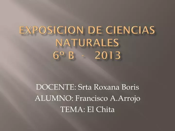 exposicion de ciencias naturales 6 b 2013