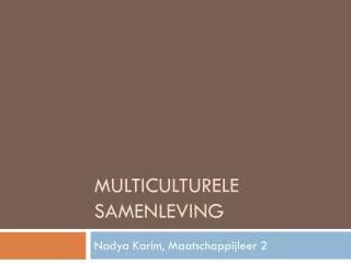 multiculturele samenleving