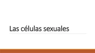 las c lulas sexuales