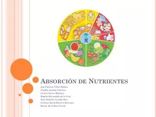 absorci n de nutrientes