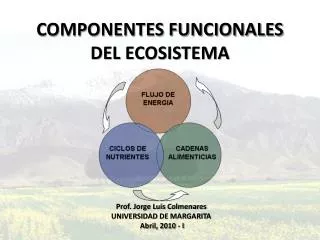 componentes funcionales del ecosistema