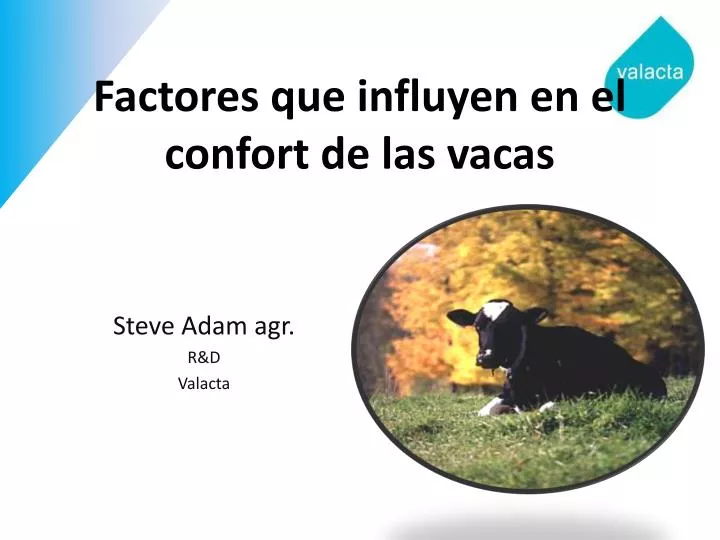 factores que influyen en el confort de las vacas