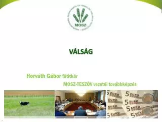 v ls g