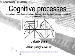 Cognitive processes